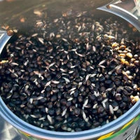 Dynamite Baits Frenzied Hempseed 350g Small Tin